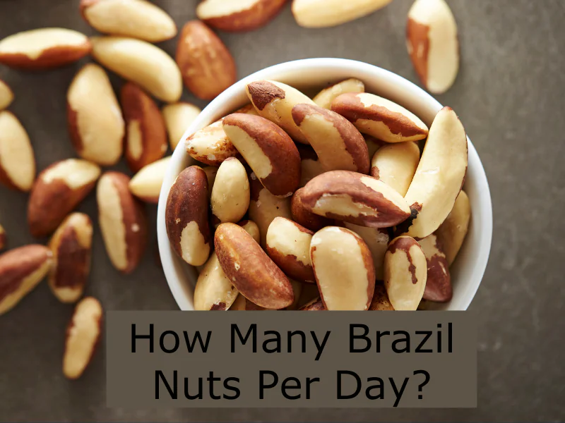 How Many Brazil Nuts Should You Eat Daily? Expert Advice Sahara Foods UK