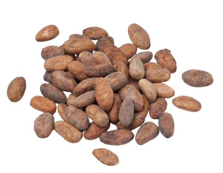 wholesale organic cacao beans
