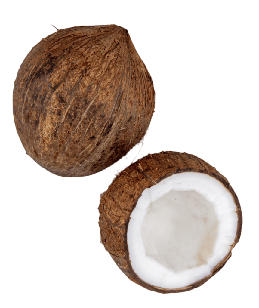 Premium Wholesale Dried Coconut Bulk Orders Sahara Foods UK