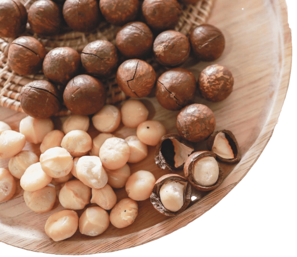 Bulk Wholesale Organic Hazelnuts Supplier Sahara Foods UK