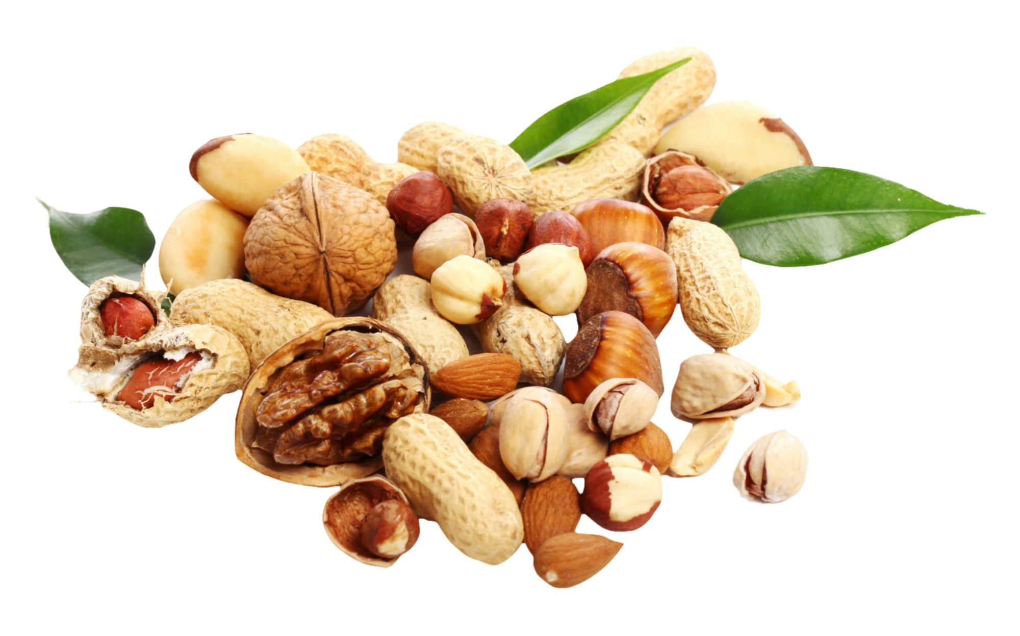 Premium Wholesale Bulk Cashews Nuts Supplier Sahara Foods UK
