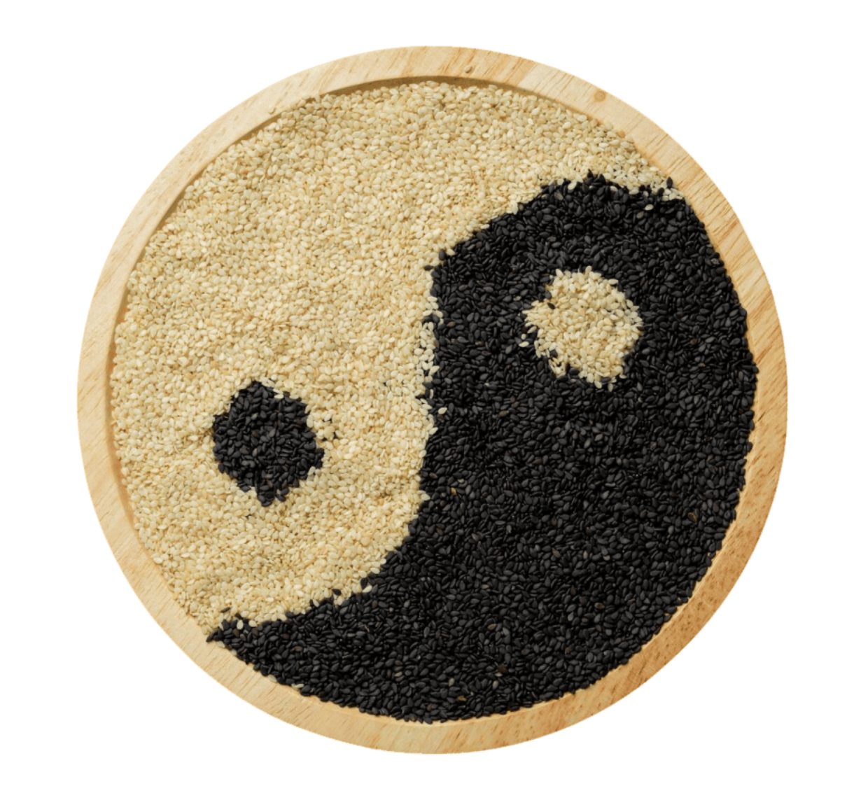 Wholesale Organic Sesame Seeds Bulk Supplier Sahara Foods UK