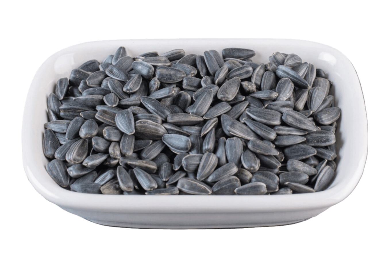 Wholesale Organic Sunflower Seeds Bulk Supplier Sahara Foods UK