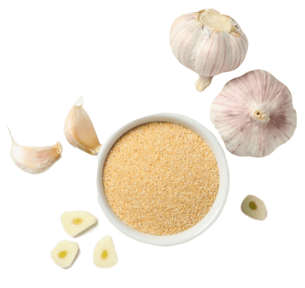 Wholesale Garlic Powder