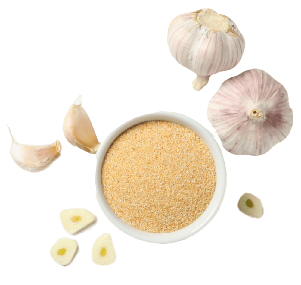 Wholesale Garlic Powder Bulk Premium Supplier Sahara Foods UK