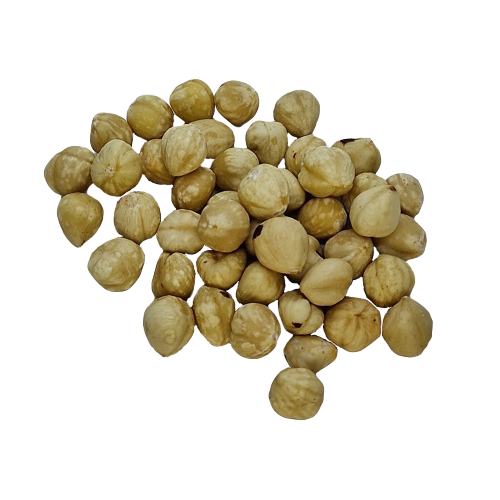 Wholsale Bulk Hazelnuts