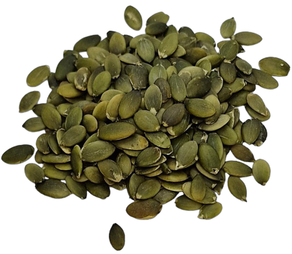 wholesale pumpkin seeds