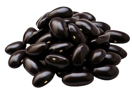 Wholesale Beans